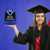 Suministros para fiestas de graduación transfronterizas, accesorios fotográficos, decoración de panal de graduación de oro negro, 8 piezas, venta al por mayor