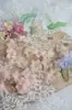 A5 Transferencia de Calor Organza Semitransparente Plisado Estilo Antiguo Hanfu Accesorios para el Cabello Piezas de Flor Material Ropa de Muñeca Flores Etéreas Accesorios