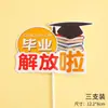 Decoración de Pastel para Temporada de Graduación, Nos Hemos Graduado, La Juventud No Terminará, Surcando el Viento y las Olas, El Futuro Es Prometedor, Tarjeta de Enchufe
