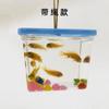 Nuevo estilo copa para pez luchador portátil botella para peces pequeños botella para tortuga pecera pequeña de plástico cuadrada caja para pez luchador transparente caja para mascotas copa para medusa