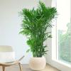 Atacado do Fabricante Vasos de Flores de Plástico Vasos de Flores Textura de Lua Pedra Vulcânica Vasos para Plantas Suculentas de Simulação para Desktop da Sala de Estar Vasos de Plantas Verdes