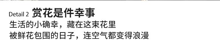 详情_12.jpg