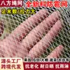 Rede Antigranizo, Rede Anti-Pássaro, Pomar de Maçãs, Rede Anti-Pássaro para Vinhedo, Material Novo, Rede de Gaze Antioxidação, Rede Anti-Pássaro para Jardinagem de Fazenda