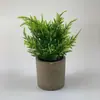 Amazon transfronterizo planta pequeña en maceta simulación planta verde estilo nórdico decoración del hogar adornos de escritorio mini planta bonsái