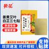 Girassol Cúrcuma Artemísia Radix Argicae Radix Angelicae Dahuricae Notoginseng Dor que Gruda Coluna Cervical Ombro Coluna Lombar Perna Articulação do Joelho Grudando Mai Cao Grudando