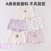 Cuecas Boxers de Algodão Infantil Desenho Princesa Verão Meninas Roupa Íntima Sem Costura para Meninas do Ensino Fundamental e Médio Venda por Atacado do Fabricante