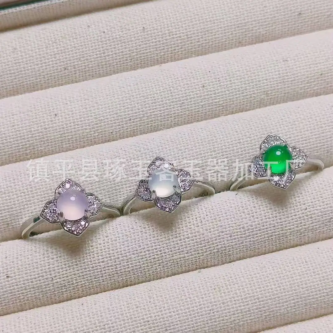 微信图片_20251108070956_3131_255.j