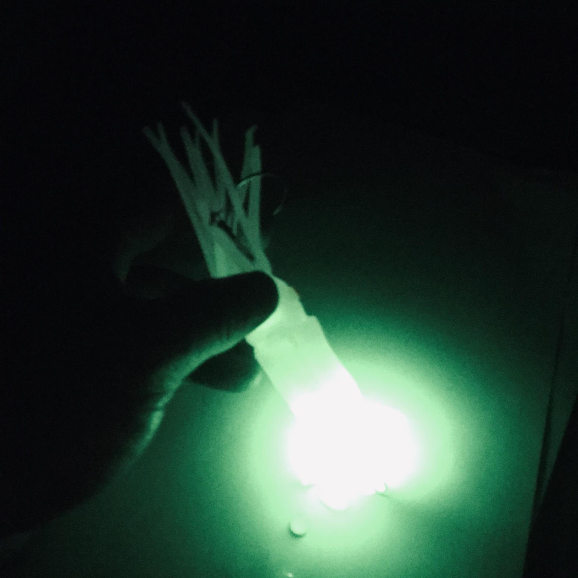 IMG_6746(20190509-084843)