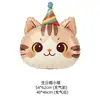 Nuevos sombreros de cumpleaños de dibujos animados, incluyendo diseños de cachorros, gatitos y pandas, junto con globos para decoraciones de fiestas de cumpleaños infantiles y montajes de escenas