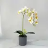Flores de 11 Cabeças Borboleta Orquídea Bonsai Casamento Buquê Artificial Vaso Decorativo Mesa de Restaurante Flores Artificiais Vasos Ornamentos