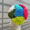 Flor Preservada Haste Única Hortênsia Anna Anna Folha Pequena Bella 40 Cores Personalizado Atacado Presente Dia dos Professores