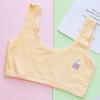 Top de Tubo de Desarrollo para Niñas al por Mayor Ropa Interior Chaleco para Pubertad de Estudiantes Sujetador sin Relleno