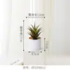 Simulação jardinagem vaso planta suculenta simulação planta vaso decoração de casa planta verde simulação planta geração