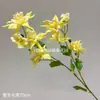 Flor de garra de gato artificial con tallos largos, diseño de flor colgante, dinámica y única, adecuada para fotografía de bodas, flores artificiales al por mayor