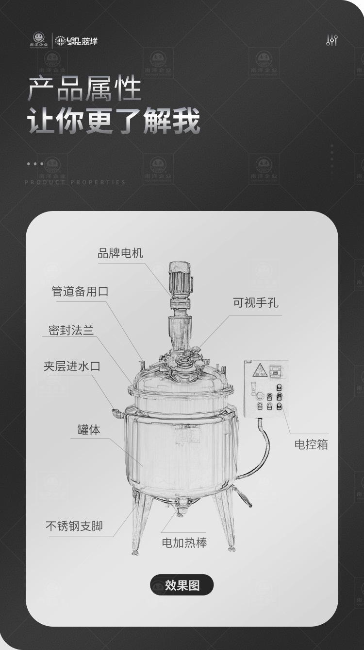 南洋反应釜电加热立式手孔_02.jpg