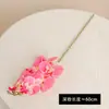 Buquê de flor de orquídea borboleta artificial com sete cabeças, impresso em 3D, com aparência de filme, para decoração de cenários, decoração de hotéis e como elemento decorativo para orquídeas dançantes