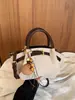 Bolso de mano retro de nicho súper popular para mujer, nuevo bolso tote pequeño cruzado versátil de verano 2026 para el trabajo y los desplazamientos