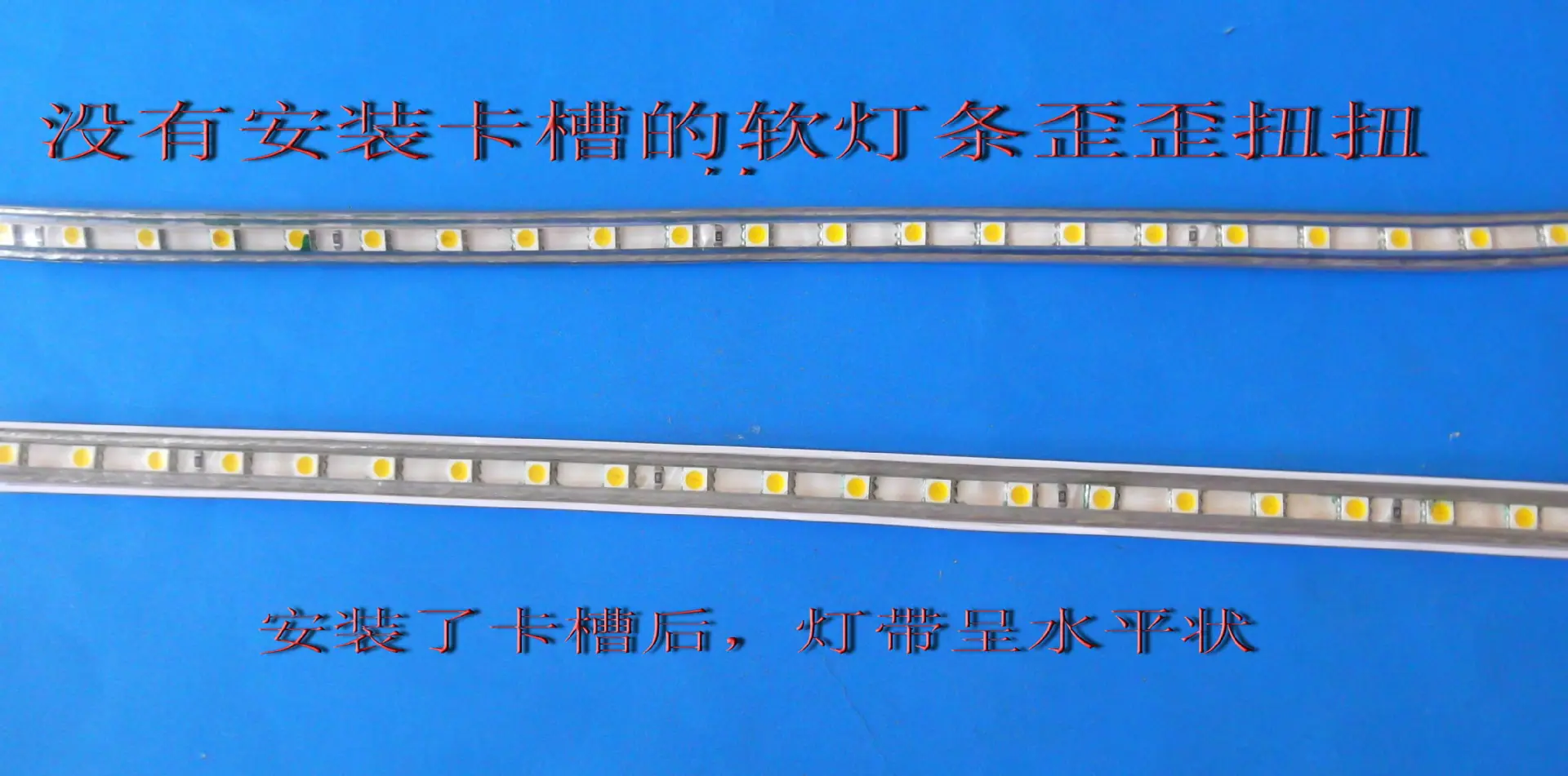 DSCF7077