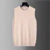 Nuevo Chaleco Suéter Sin Mangas para Hombre Otoño/Invierno 2026, Tejido de Cuello Redondo, Estilo Coreano, Chaleco Suéter para Hombre