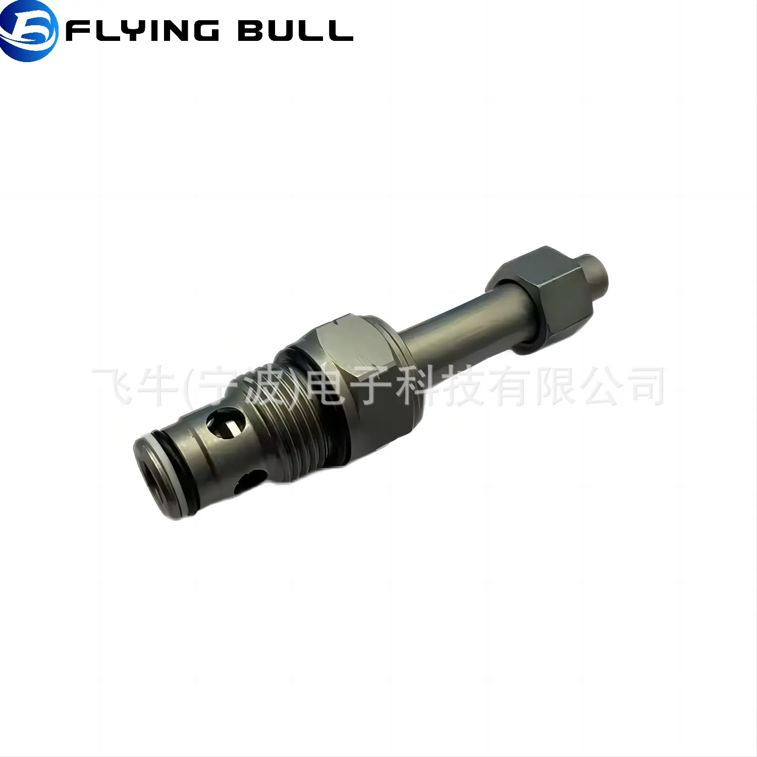 SV10-21P (1)
