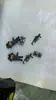 Acessórios Croc Charms para Sapatos Desenho Animado Fofo Urso de Diamante Sprite de Fuligem Cachorro Inominável Sprite de Fuligem Estilo Quente Viral Fivelas de Sapato Atacado