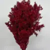 Materiales para Ramo de Fuegos Artificiales Pino Penglai Eterno Ramas Cortas Ramas Largas Materiales Hechos a Mano Arreglo de Ramo Floral