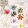 Moyuan & Dream Dance Serie Floral Dream Paquete de Pegatinas PET con Lámina Dorada 20 Pegatinas de Tamaño Grande para Decoración de Diario
