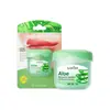 Comercio Exterior Transfronterizo Champú Reparador Anticaspa de Sábila, Champú Anticaspa y Antipurito, Mayoreo