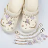 Comercio Electrónico Transfronterizo Zuecos Accesorios DIY Ins Xiaohongshu Joyería de Flor para Zapatos de Gama Alta Hebilla para Zapatos Set de Accesorios