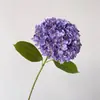 Alta simulación gran hortensia profundidad múltiples colores para hacer pared de propuesta más realista verano sin fin hortensia impresión 3D