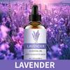 Fragancia Duradera Aromaterapia a Base de Plantas Aceite Esencial Lavanda Árbol de Té Difusor de Fragancia Única Paquete de Recarga de Gran Capacidad