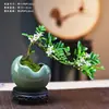 Bonsai de Osmanthus Fragrante de Folha Pequena Estilo Chinês Planta de Interior para Escritório Estudo Ornamentação Decorativa Perene para Todas as Estações