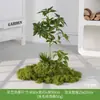 Musgo Sintético Decoración Suave para Interiores Conjunto de Micro Paisaje Combinación Exhibición en Ventana Pasillo Musgo Artificial Plantas Verdes Arreglo de Paisajismo Decoración