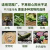 Lámpara de Sol para Tortugas Calentamiento UVA Calentamiento UVB Lámpara Solar Bombilla para Tortuga Tortuga Mascota Lámpara de Temperatura Constante Soporte