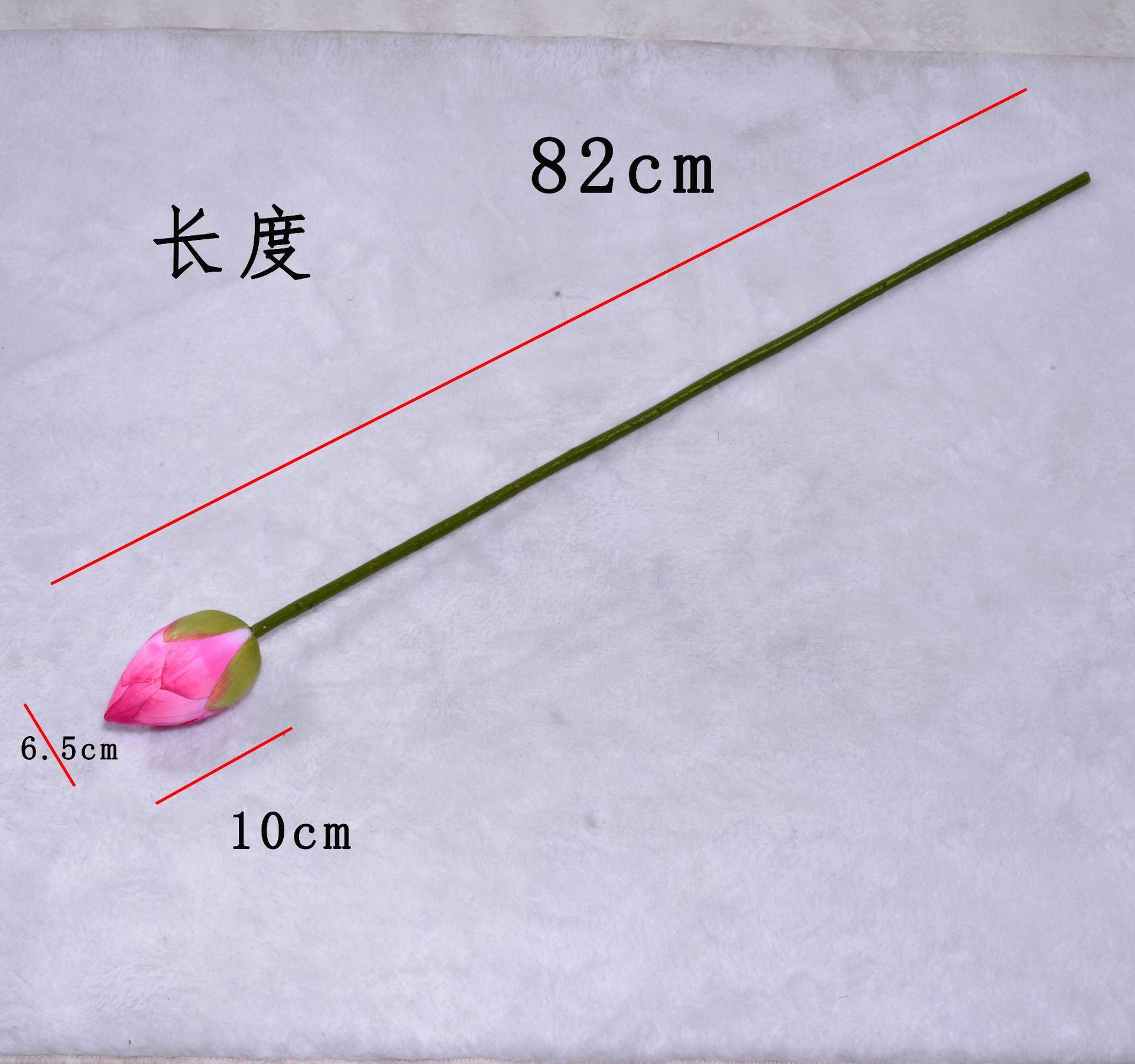 尺寸.JPG