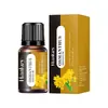 Comercio exterior transfronterizo en stock rosa lirio inglés completo aromaterapia aceite esencial soluble en agua humidificador suplemento de aromaterapia sin fuego