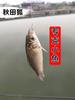 Anzuelo Huansheng Akita Fox con púas a granel, anzuelo para carpa de mango largo y fino importado de Japón, anzuelo para pesca de arroyo