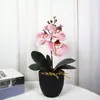 Impresión 3D Bonsái Artificial de Phalaenopsis Decoración para Hogar, Oficina, Bodas Arreglo Floral Decoración de Mesa Flores Artificiales con Tacto de PU