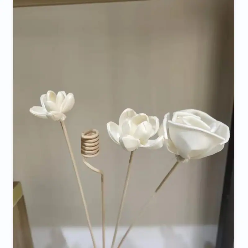 给过年回家大幅提高