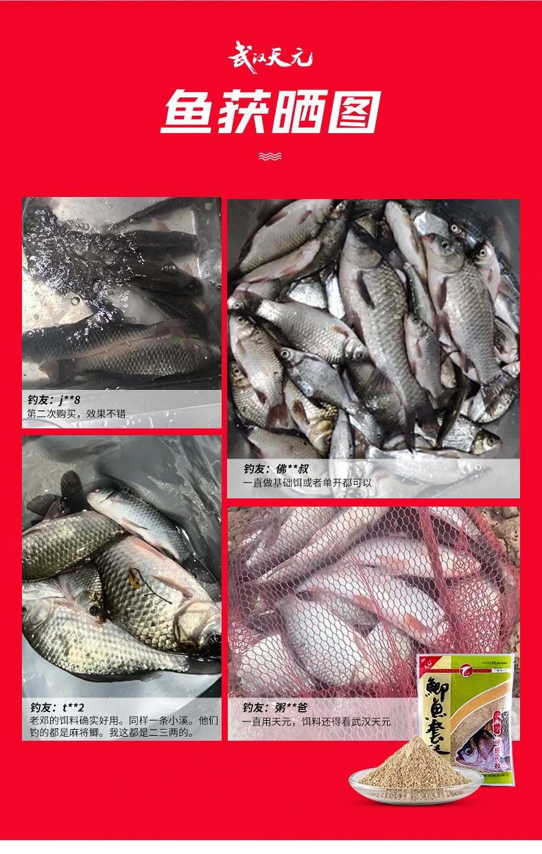 武汉天元鲫鱼套餐大包装含拉丝粉鲫鱼饵料野钓鲫鱼专用鱼饵
