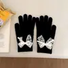 Luvas de Lã Tricotada com Laço de Renda Estilo Europeu e Americano para Mulheres, Luvas de Ciclismo Anti-Frio de Dedo Dividido para Inverno com Tela Sensível ao Toque