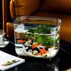 Tanque de peixes PET transparente sala de estar pequeno aquário de mesa tanque de tartaruga tanque de peixes dourados à prova de gotas paisagem hidropônica tanque ecológico