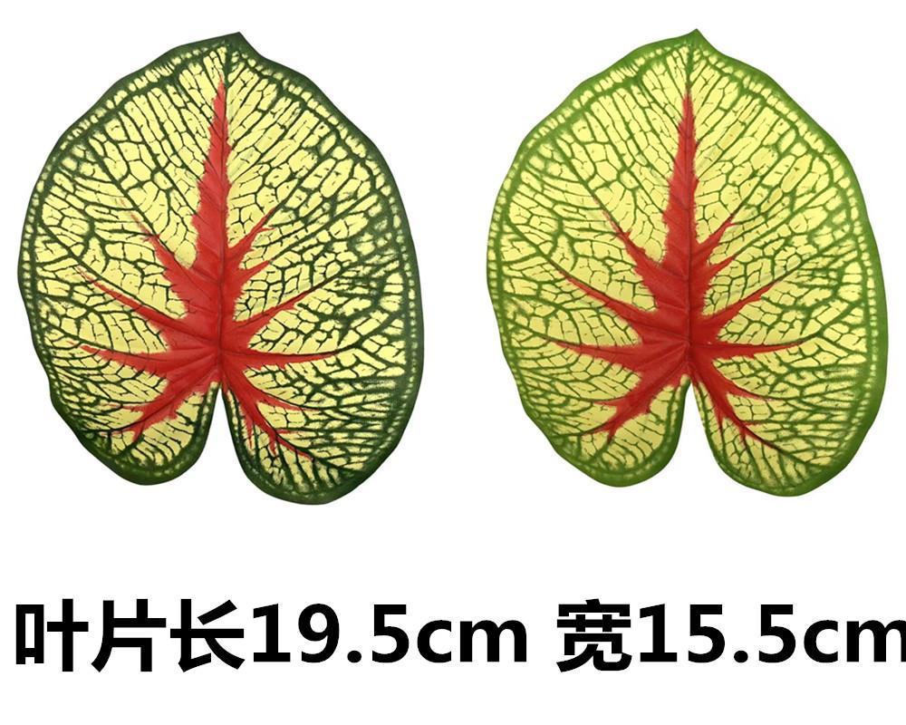 未命名_副本