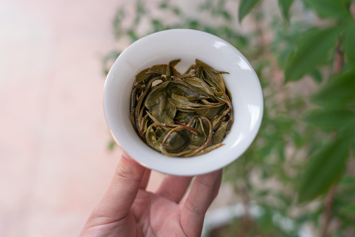 大雪山散茶的 (16).jpg