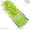 Kit de Unhas Verdes Transfronteiriço 12 Cores Misturadas Lantejoulas para Nail Art Laser Pó Escarlate Joias para Nail Art Broca Adesivo para Unha
