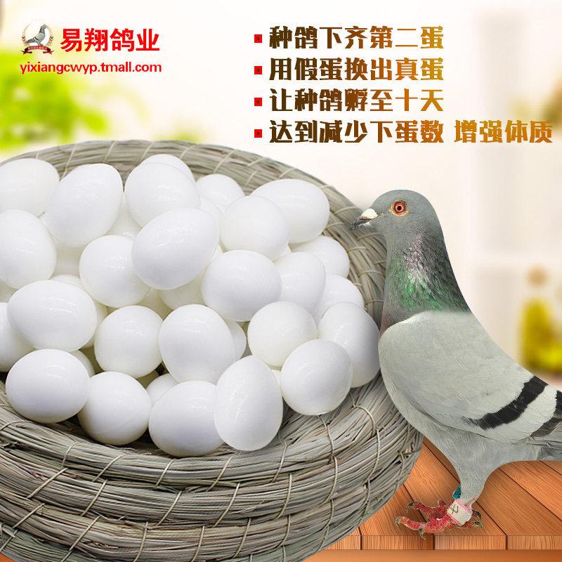 实心假蛋1