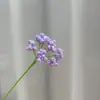 Buquê de Gypsophila de Fio Acabado Tecido à Mão Flores Artificiais Acessórios de Casamento Fábrica Estoque Pronto Flores Flores Secas