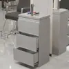 Armário de Ferramentas de Aço Inoxidável para Barbearia, Armário de Armazenamento para Salão de Beleza Salão de Cabeleireiro, Carrinho para Cabeleireiro Cabeleireiro