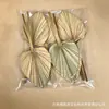 Hojas de palma secas, grandes frondas de palma, arreglos florales de estilo natural para floristerías, textiles para el hogar, decoraciones de arcos, decoraciones para escenas de bodas, hojas de palma