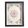 Marco de Fotos Hueco Tridimensional Cuadrado Profundidad 1.6cm Marco de Muestras en Relieve para Insignias, Flores Secas, Marco de Exhibición para Enmarcado DIY